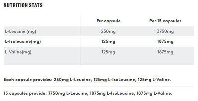 PHD BCAA - 500mg - 195 caps